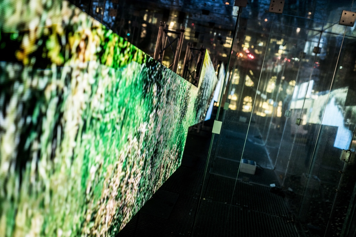 Nu in het Tschumipaviljoen: ‘Shifting Ground’ | Nina van Tuikwerd